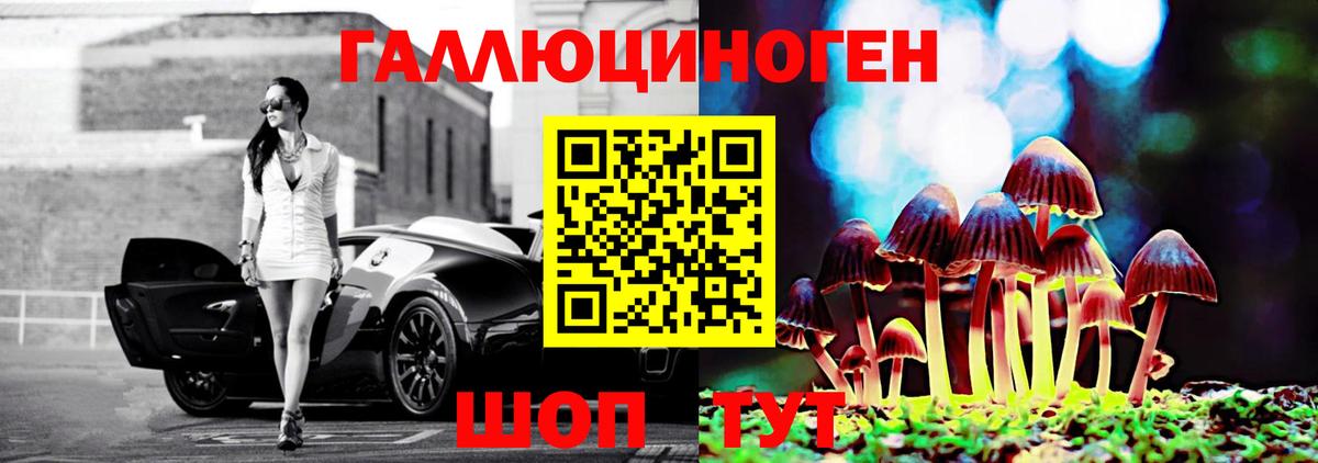 Псилоцибиновые грибы прущие грибы Крымск