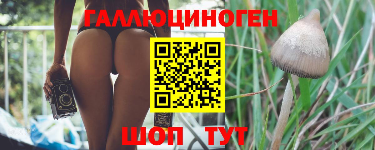 наркотики  Псилоцибиновые грибы MAGIC MUSHROOMS  Вход с VPN  Галлюциногенные грибы прущие грибы  Крымск 